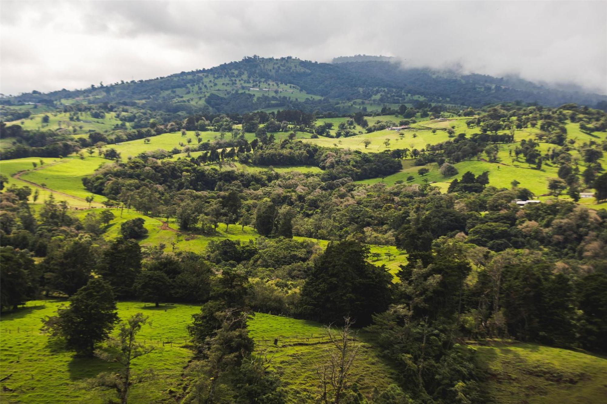 ホテル Hyatt Centric San Jose Escazu エクステリア 写真